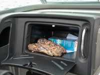 Warrior V208 DC Fishing Boat - Glove Box